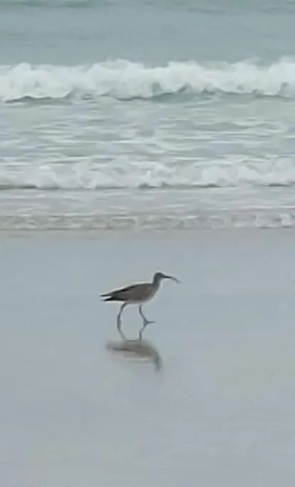 Escapade En Bretagne Lägenhet Penmarcʼh 0*,  Frankrike