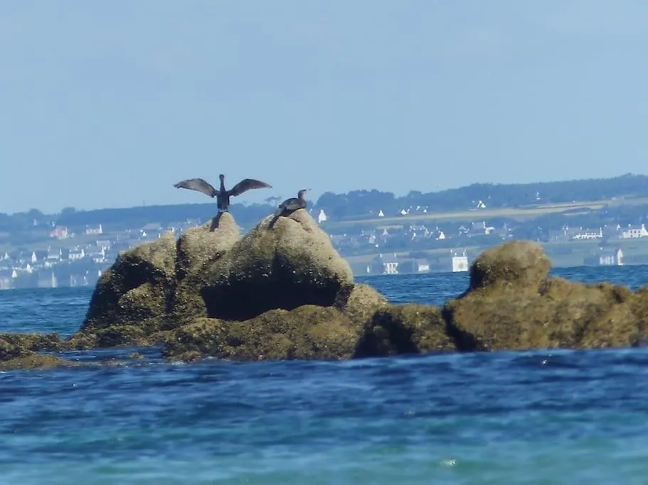 Escapade En Bretagne Lägenhet Penmarcʼh Frankrike